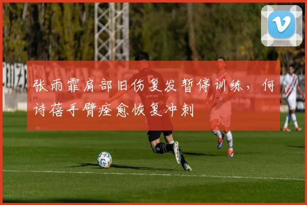 张雨霏肩部旧伤复发暂停训练，何诗蓓手臂痊愈恢复冲刺